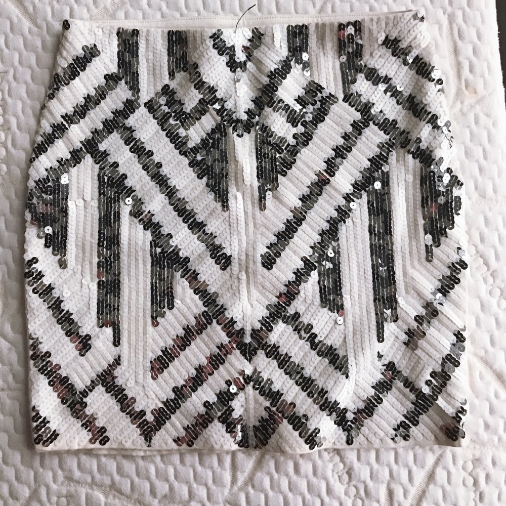 Express skirt